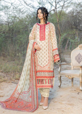D#04 Ain Alif Digital Printed Lawn Collection 623
