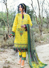 D#06 Ain Alif Digital Printed Lawn Collection 623