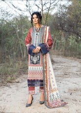 D#03 Ain Alif Digital Printed Lawn Collection 623