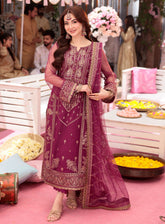 Jag Mag By Asim Jofa Embroidered Net Suits Unstitched 3 Piece - AJ24JM AJMJ-09