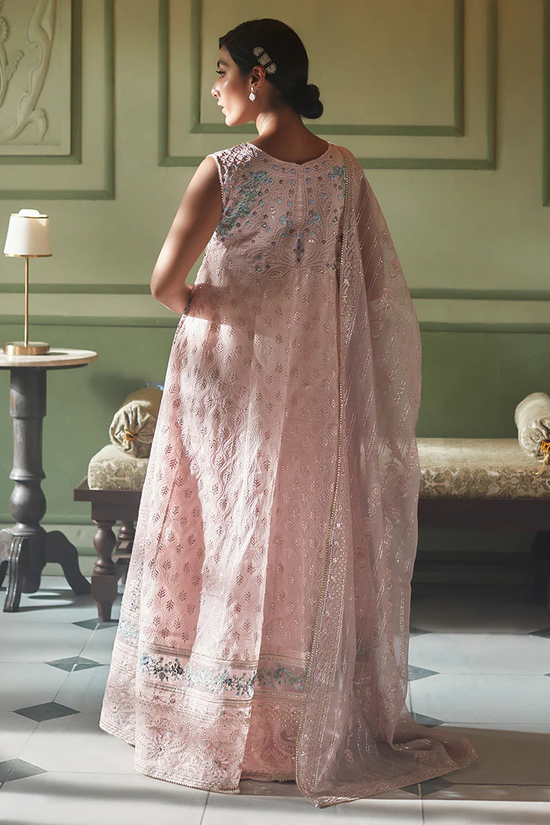 D#01 Mushq Qala Kamdaani Festive Collection 723 D#01 Mushq Qala Kamdaani Festive Collection 723