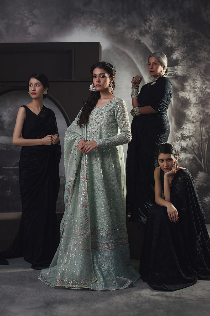 D#02 Mushq Qala Kamdaani Festive Collection 723 D#02 Mushq Qala Kamdaani Festive Collection 723
