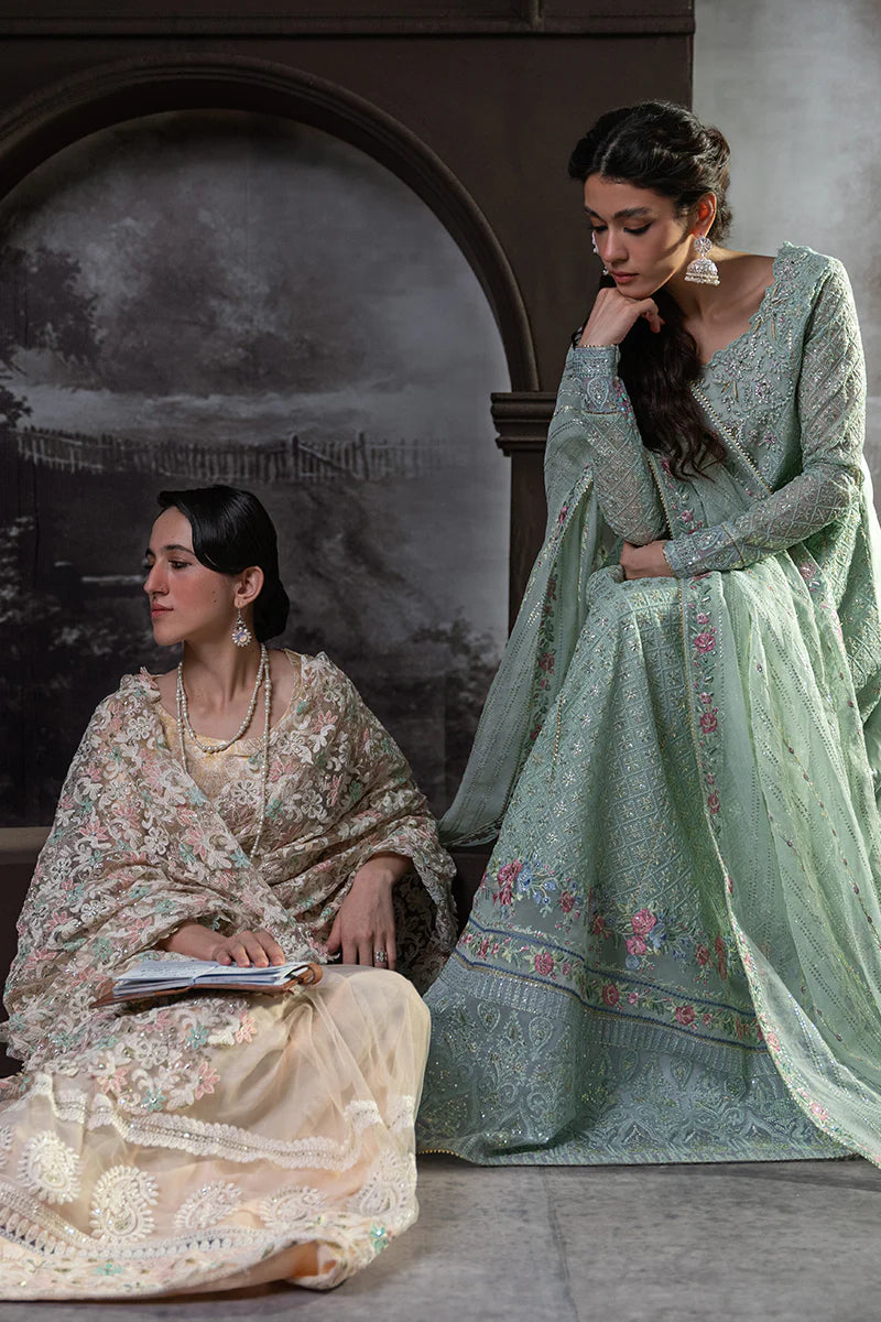 D#02 Mushq Qala Kamdaani Festive Collection 723 D#02 Mushq Qala Kamdaani Festive Collection 723