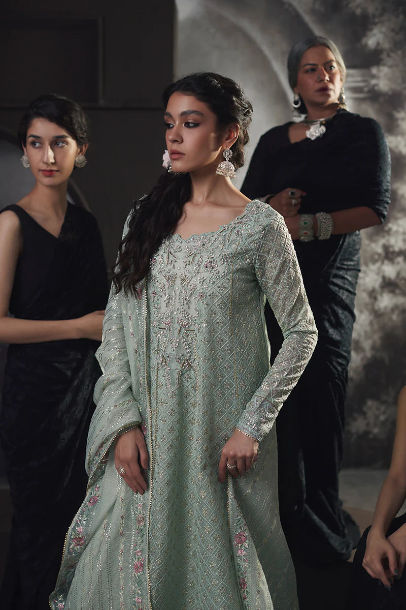 D#02 Mushq Qala Kamdaani Festive Collection 723 D#02 Mushq Qala Kamdaani Festive Collection 723