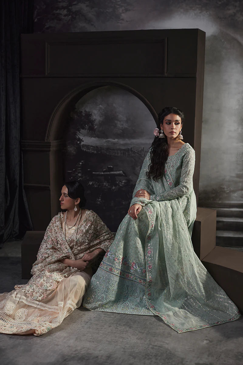 D#02 Mushq Qala Kamdaani Festive Collection 723 D#02 Mushq Qala Kamdaani Festive Collection 723