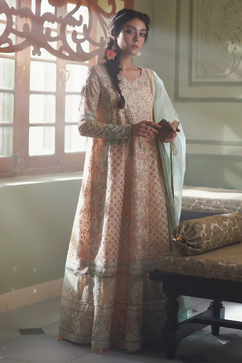 D#04 Mushq Qala Kamdaani Festive Collection 723 D#04 Mushq Qala Kamdaani Festive Collection 723
