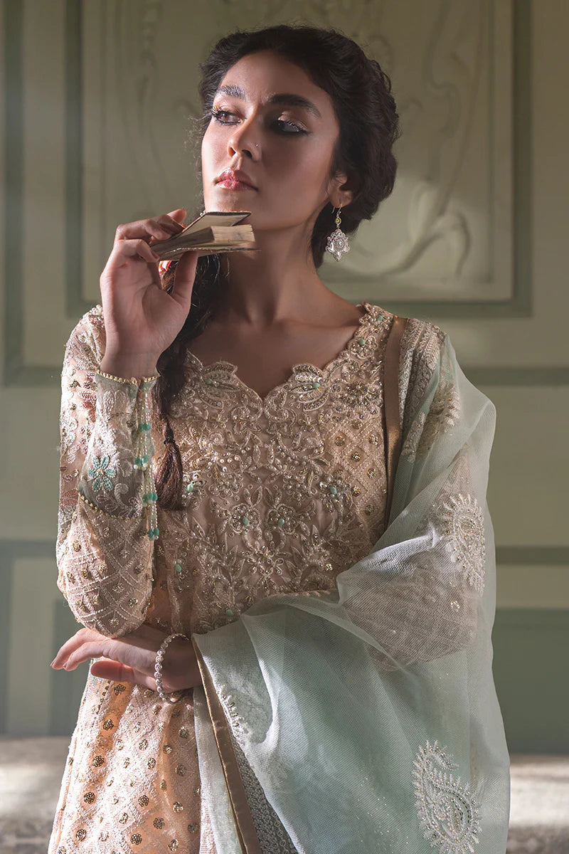 D#04 Mushq Qala Kamdaani Festive Collection 723 D#04 Mushq Qala Kamdaani Festive Collection 723