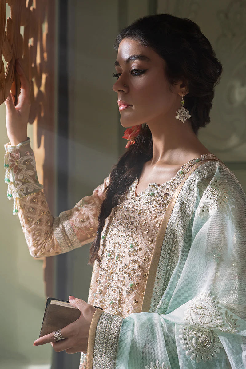 D#04 Mushq Qala Kamdaani Festive Collection 723 D#04 Mushq Qala Kamdaani Festive Collection 723