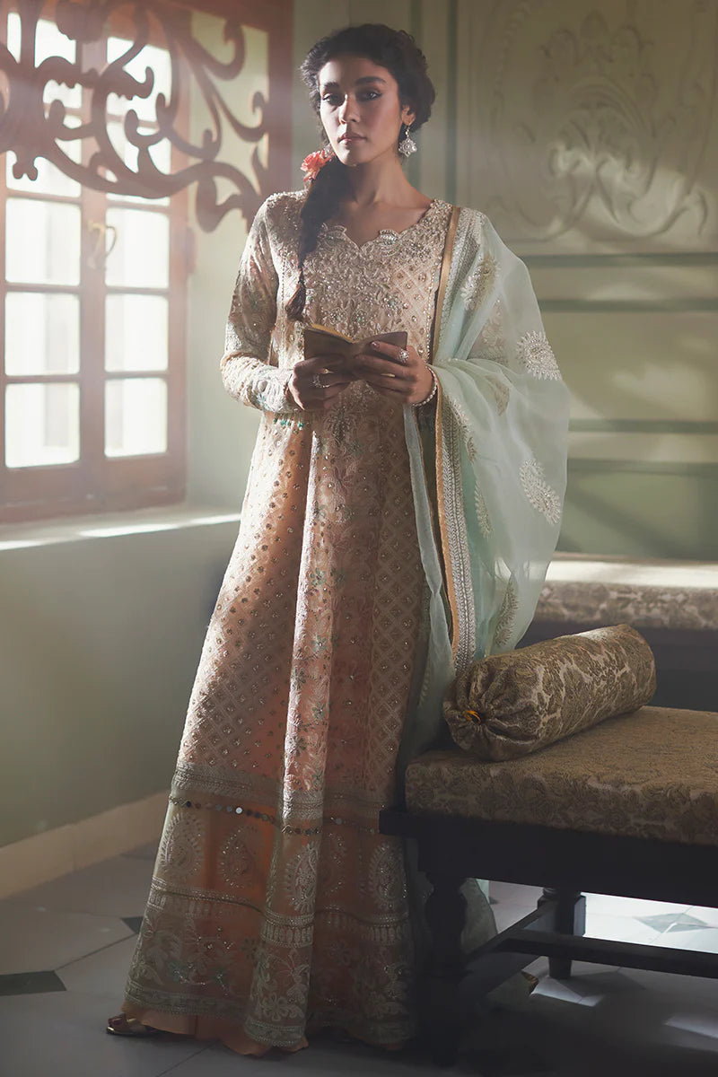 D#04 Mushq Qala Kamdaani Festive Collection 723 D#04 Mushq Qala Kamdaani Festive Collection 723