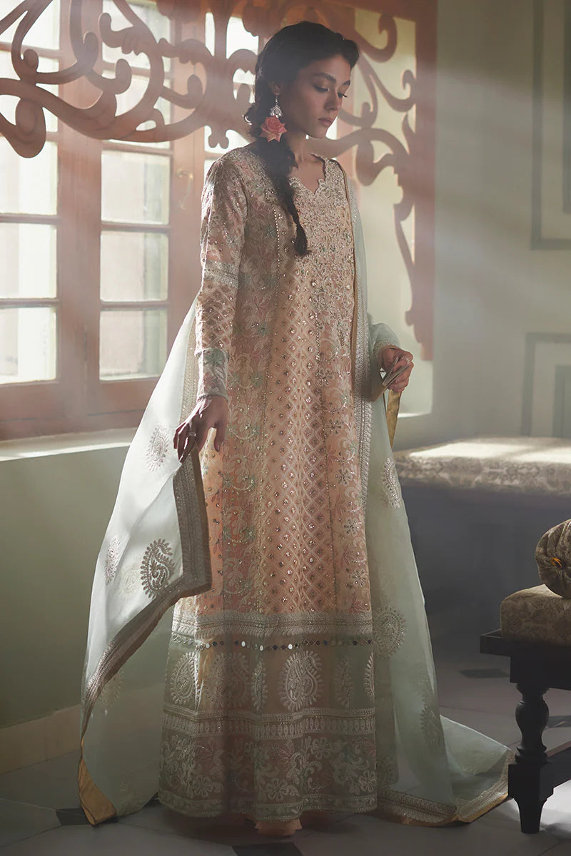 D#04 Mushq Qala Kamdaani Festive Collection 723 D#04 Mushq Qala Kamdaani Festive Collection 723