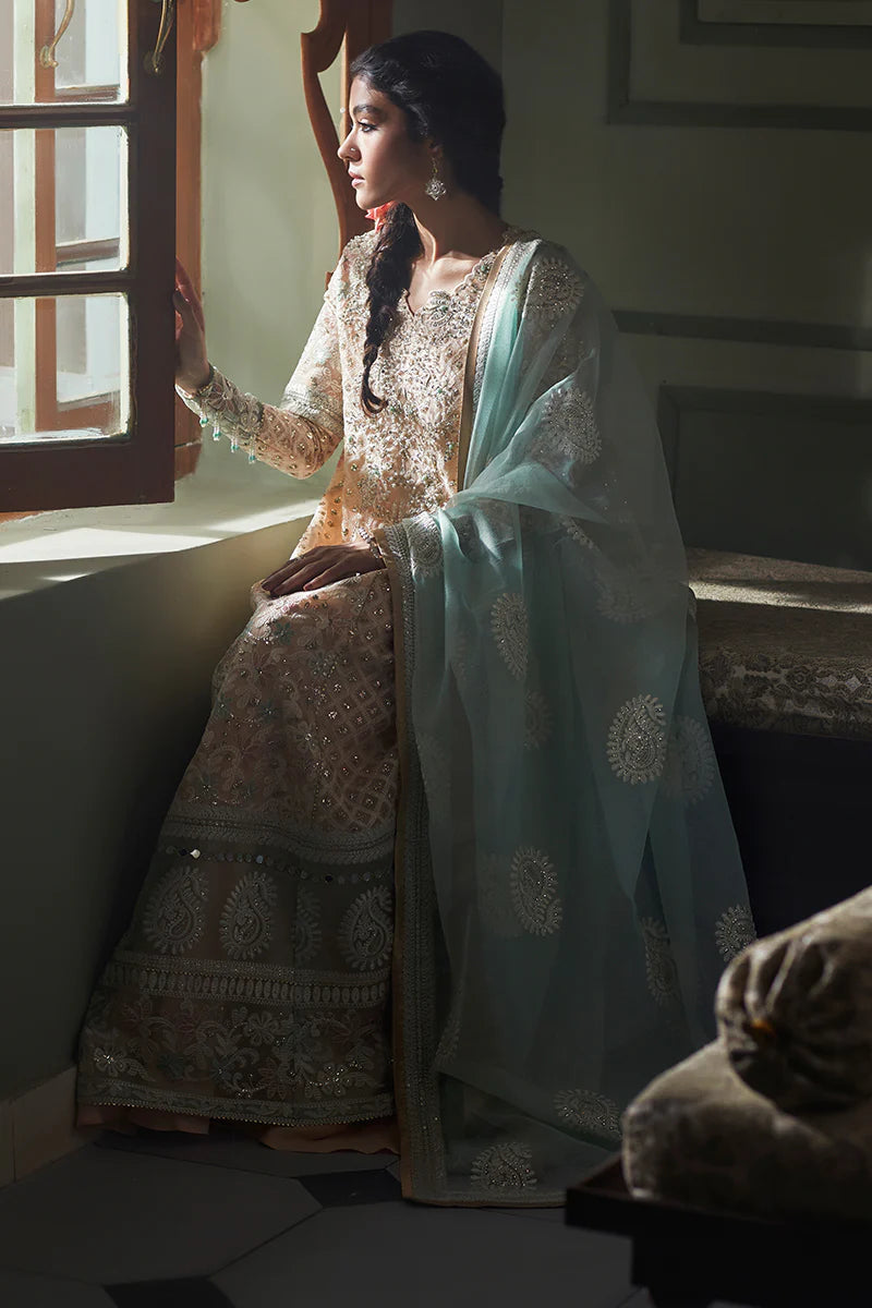 D#04 Mushq Qala Kamdaani Festive Collection 723 D#04 Mushq Qala Kamdaani Festive Collection 723