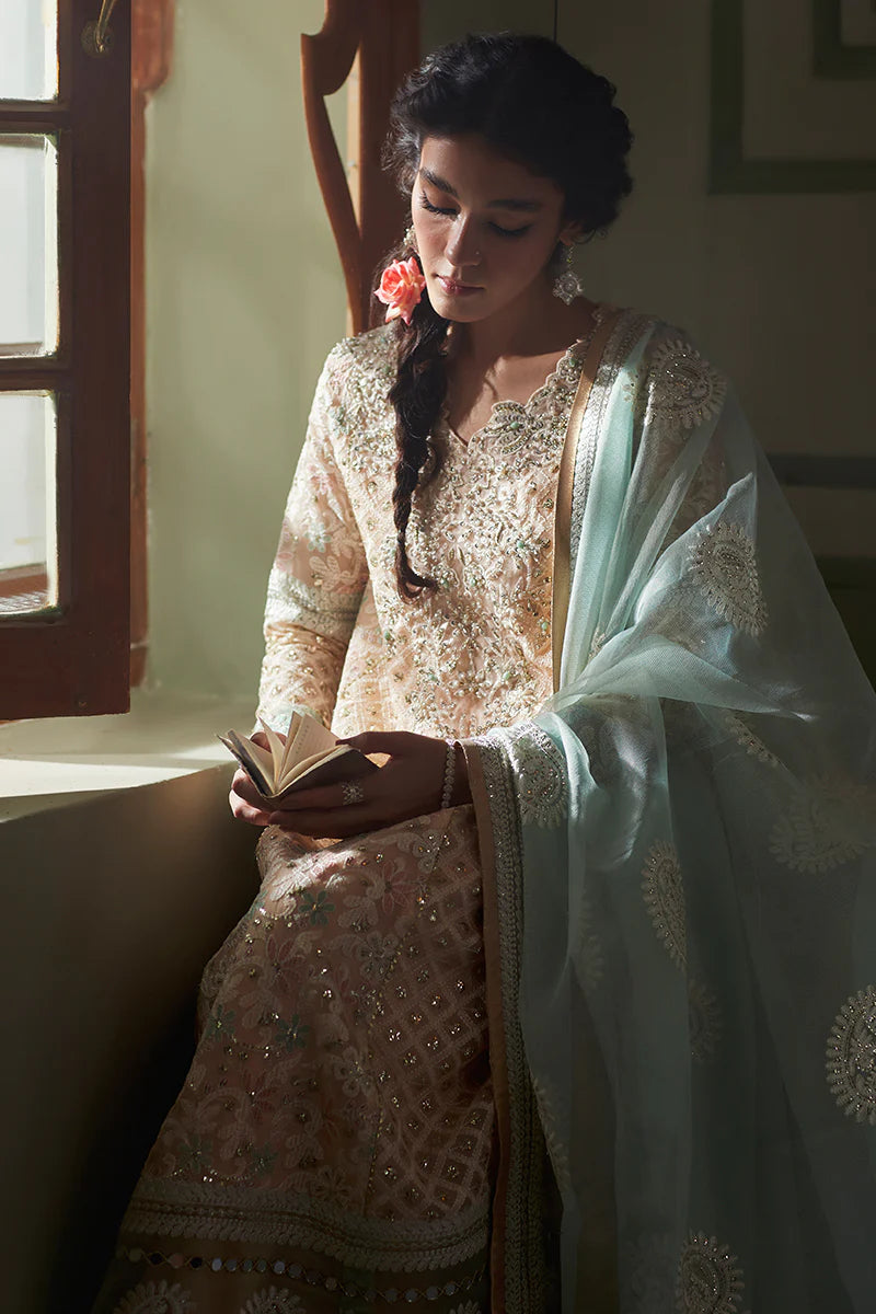 D#04 Mushq Qala Kamdaani Festive Collection 723 D#04 Mushq Qala Kamdaani Festive Collection 723