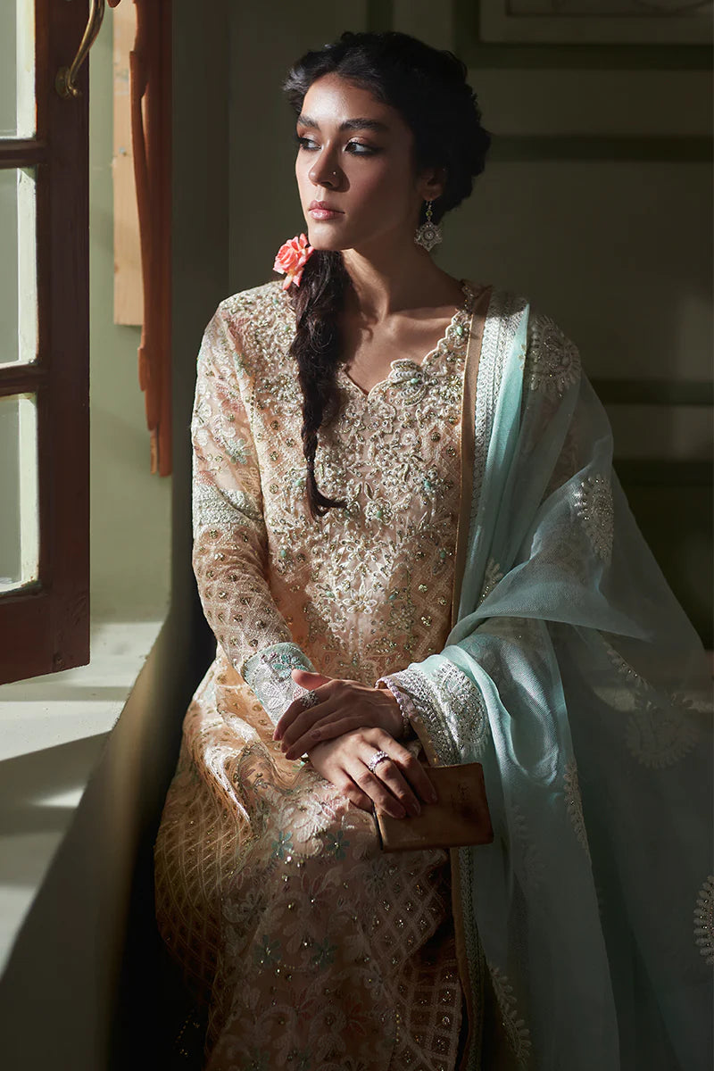D#04 Mushq Qala Kamdaani Festive Collection 723 D#04 Mushq Qala Kamdaani Festive Collection 723
