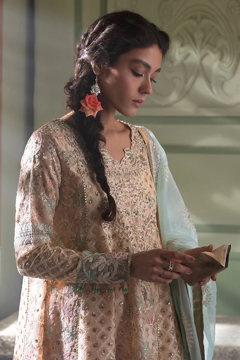 D#04 Mushq Qala Kamdaani Festive Collection 723 D#04 Mushq Qala Kamdaani Festive Collection 723