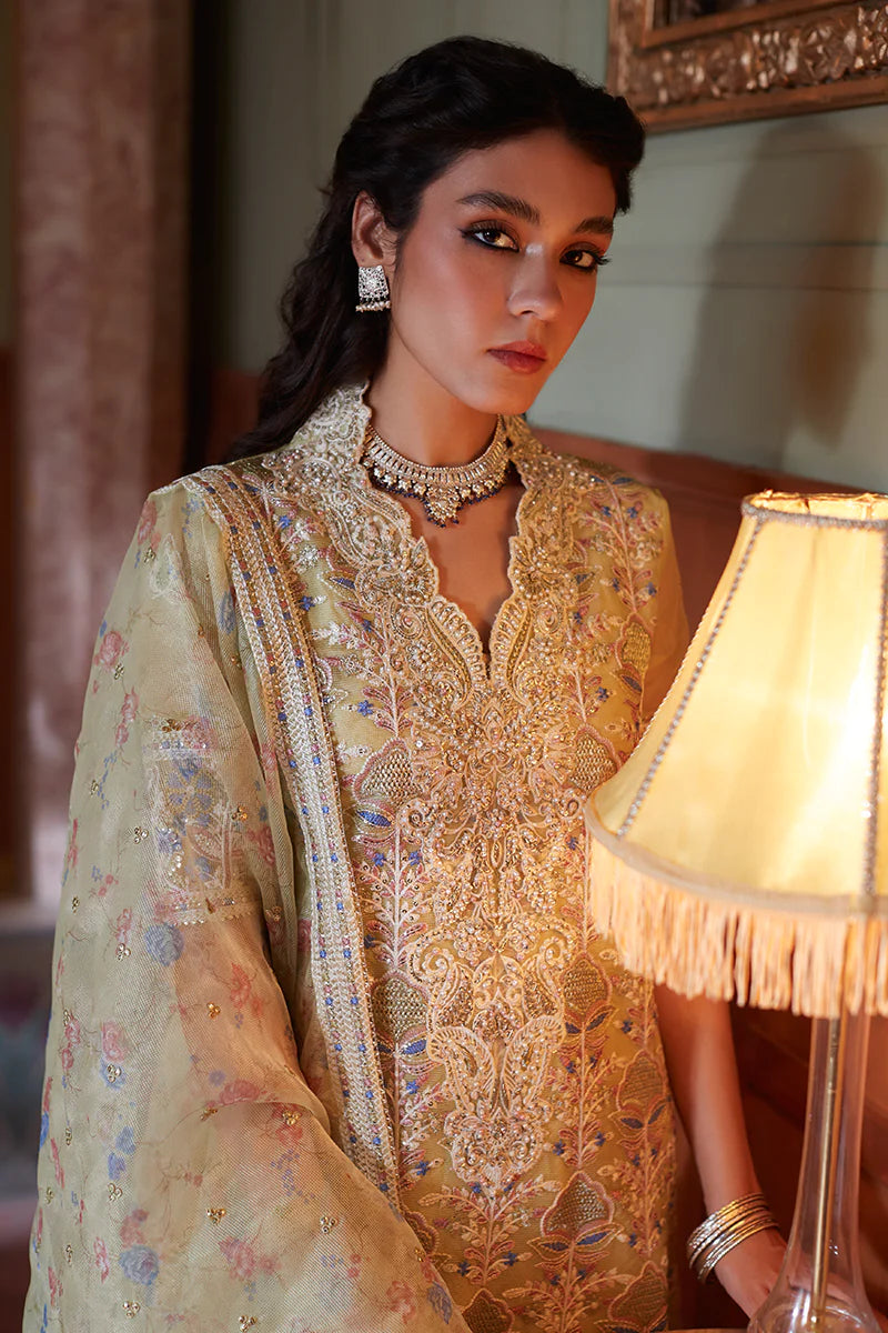 D#08 Mushq Qala Kamdaani Festive Collection 723 D#08 Mushq Qala Kamdaani Festive Collection 723