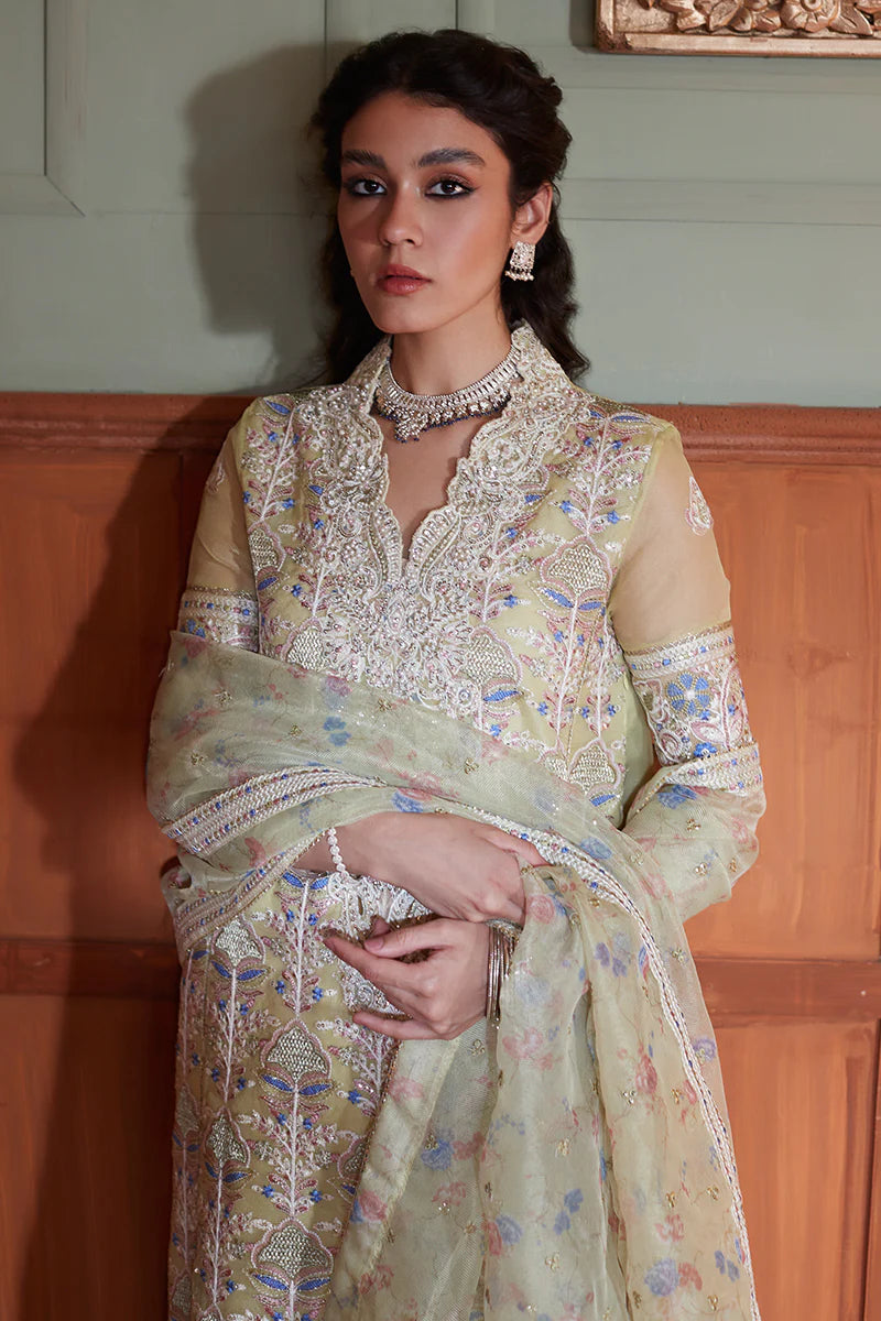 D#08 Mushq Qala Kamdaani Festive Collection 723 D#08 Mushq Qala Kamdaani Festive Collection 723