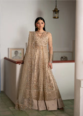 Pehli Nazar By Ayzel Festive Embroidered Poly Net 3 Piece Unstitched Suit AZL26PNF D-AYZ-0166 NAFASAT