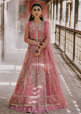 Pheli Si Muhabbat by Roheenaz Embroidered Net Suits Unstitched 3 Piece - RNZ24PSM 05 ULFAT