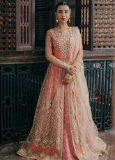 Pheli Si Muhabbat by Roheenaz Embroidered Net Suits Unstitched 3 Piece - RNZ24PSM 08 SHAFAQ