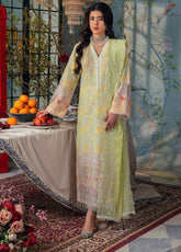 RajBari Embroidered Chikan Unstitched 3 Piece Suit - RB24CE 07