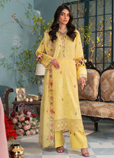 RajBari Embroidered Chikan Unstitched 3 Piece Suit - RB24CE 12