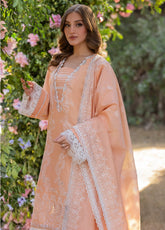 Reveerie by Florent Embroidered Chikankari Lawn Suits Unstitched 3 Piece - FL25RCL FLC-1B