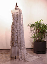 Royal Fashion Embroidered Missouri Net Suits Unstitched 2 Piece - RF25EE 141 SILVER GREY