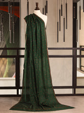 Royal Fashion Exclusive Woolen Shawls - RF24SH W622-BB02 Green