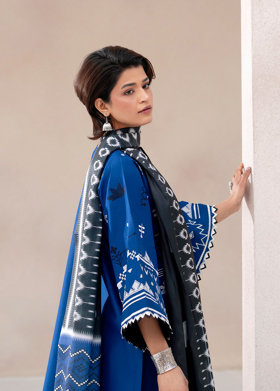 Aaina By Bin Ilyas Embroidered Lawn 3 Piece Unstitched Suit BI25SE D-81A Aaina By Bin Ilyas Embroidered Lawn 3 Piece Unstitched Suit BI25SE D-81A