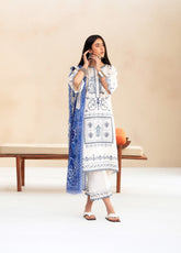 Aaina By Bin Ilyas Embroidered Lawn 3 Piece Unstitched Suit BI25SE D-85B