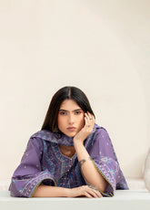 Aaina By Bin Ilyas Embroidered Lawn 3 Piece Unstitched Suit BI25SE D-87B
