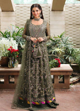 Aangan By Roheenaz Embroidered Chiffon 3 Piece Unstitched Suit RNZ25ALB D-04 MEHWAR