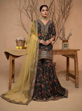 Afsana By HemStitch Embroidered Chiffon 3 Piece Stitched Suit HS24AV2 D-ACV2-04 ILENA