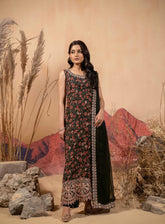 Afsana By HemStitch Embroidered Chiffon 3 Piece Stitched Suit HS24AV2 D-ACV2-05 ZAURA