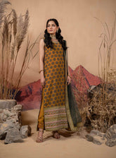 Afsana By HemStitch Embroidered Chiffon 3 Piece Stitched Suit HS24AV2 D-ACV2-08 SOFIANA