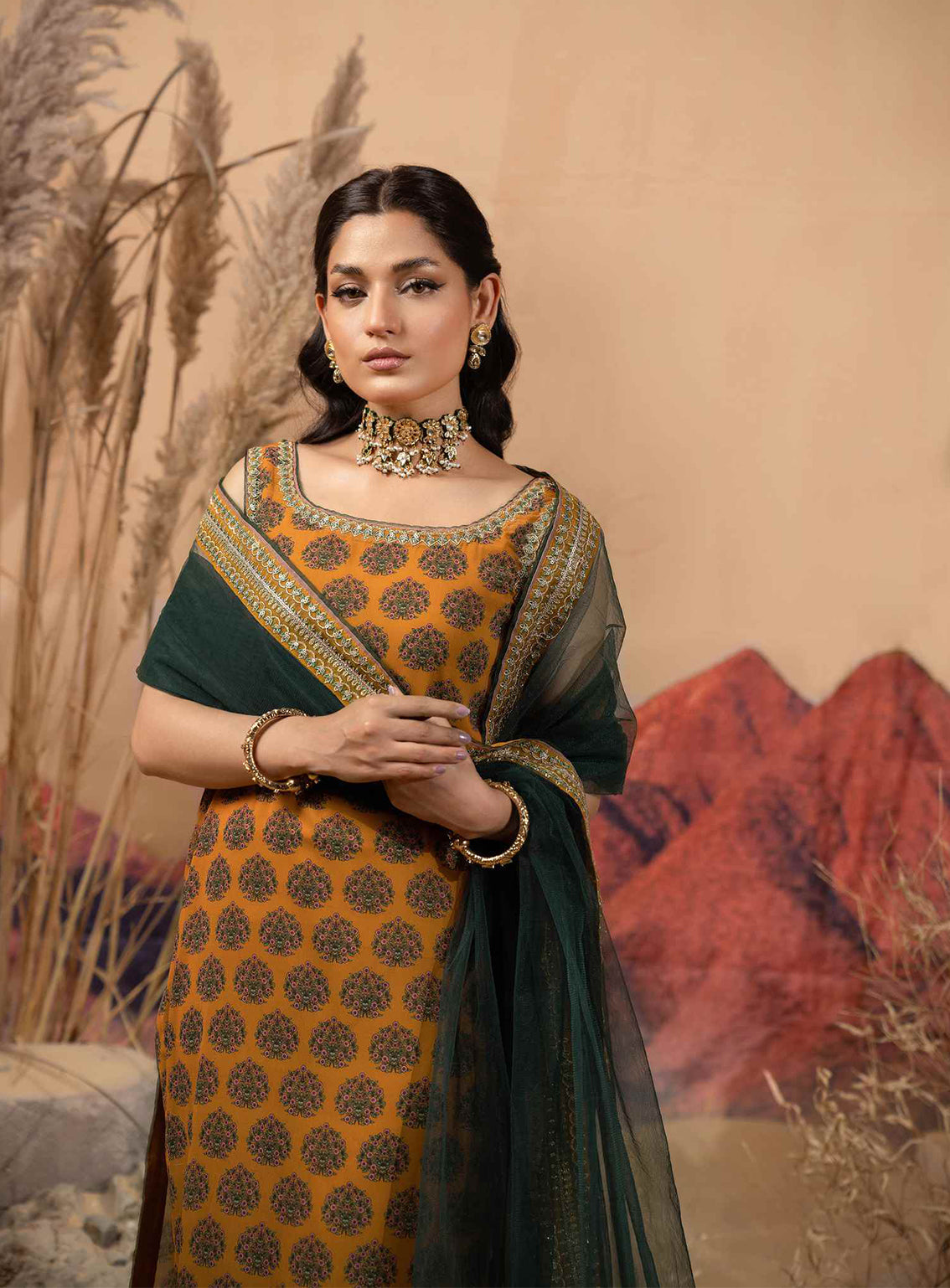 Afsana By HemStitch Embroidered Chiffon 3 Piece Stitched Suit HS24AV2 D-ACV2-08 SOFIANA Afsana By HemStitch Embroidered Chiffon 3 Piece Stitched Suit HS24AV2 D-ACV2-08 SOFIANA