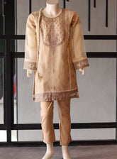 Aroob Fancy Embroidered Net Suit Stitch 3 Piece - ARB24G 061