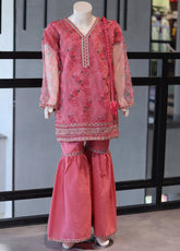 Aroob Fancy Embroidered Organza Stitch 3 Piece Suit - ARB24G D#102