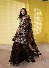 Ayzel By Afrozeh Ayzel By Afrozeh Solaris Embroidered Organza 3 Piece Unstitched Suit AF25ASWF D-01