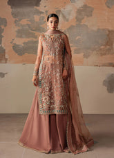 Ayzel By Afrozeh Ayzel By Afrozeh Solaris Embroidered Organza 3 Piece Unstitched Suit AF25ASWF D-02
