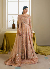 Ayzel By Afrozeh Ayzel By Afrozeh Solaris Embroidered Organza 3 Piece Unstitched Suit AF25ASWF D-06