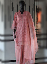 Bin Saeed Festive Digital Embroidered Lawn 3 Piece Stitched Suit - BS24FEL D-08