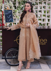 Carnation By Rang Rasiya Embroidered Lawn 3 Piece Unstitched Suit RR25CLFE D-13 KAIA