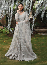 Dastangoi By Afrozeh Embroidered Net 3 Piece Unstitched Suit AF25DG D-06 TWILUNE