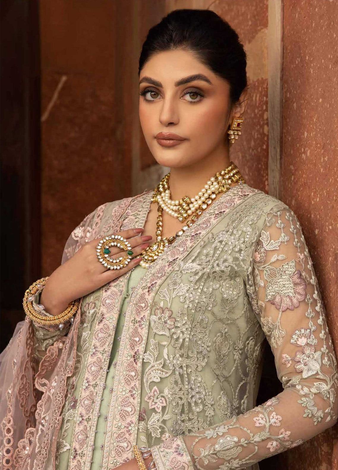 Dilkash By Lavish Premium Embroidered Net 3 Piece Unstitched Suit LP25D D-02 MOON MIST Dilkash By Lavish Premium Embroidered Net 3 Piece Unstitched Suit LP25D D-02 MOON MIST