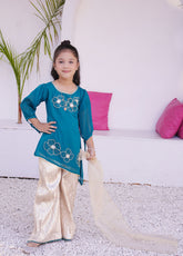 Eemans Fashion Fancy Chiffon Stitched Suit EEF25K&G D-737-S&GR