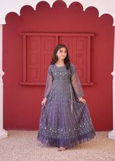 Eemans Fashion Fancy Net Stitched Suit EEF25K&G D-724-D&GY