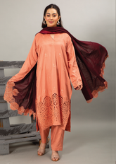 Embellish By Pashmina Embroidered Cotton Satin 3 Piece Unstitched Suit P24E D-01