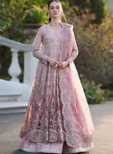 Inayat Premium Festive Formals Embroidered Net 3 Piece Unstitched Suit INP25FF D-07 ELVA