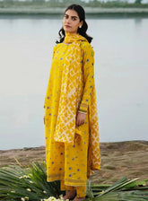 M Basics By Maria B Embroidered Lawn 3 Piece Unstitched Suit MB24M2 1B